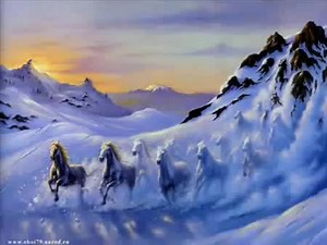 Видео MailRu Стрелец В мире животных Лошади