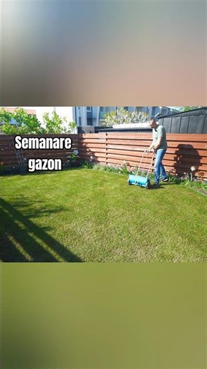 Weekly lawn with Gardena Spreader #lawn #diy #lawnmaintenance