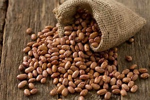 What Color Should Pinto Beans Be? | topfoodinfo.com