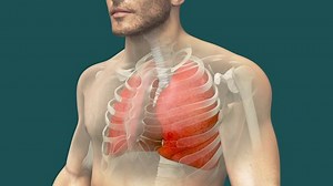 Realistic 3d animation of human lungs infected by coronavirus