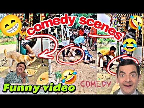 Funny video comedy scenes ✅🤣😄