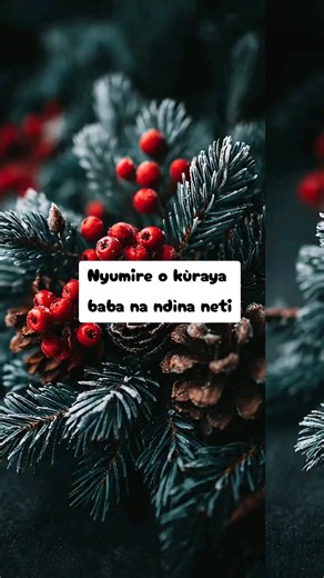 Catch Big Fish: Inspiring Lyrics for Hope