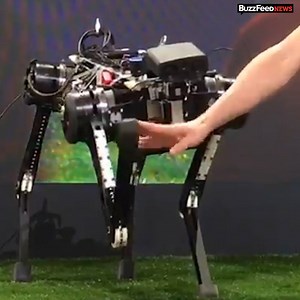 17K views · 34 reactions | This robot can answer your questions and perform some impressive tricks on command. | BuzzFeed Tech | Facebook