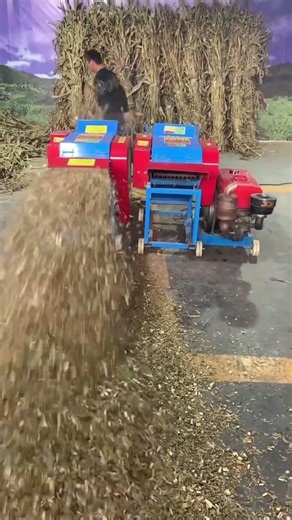 #feedpelletgrindingmill #animalfeedpelletgrindingmill #livestockfeedpelletmill