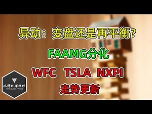 美股 异动：变盘还是再平衡？FAAMG分化！TSLA、WFC、NXPI更新！