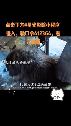 点击 👉 #星光影院小程序 进入，输入口令412364，观看精彩后续。