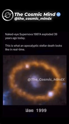 Supernova 1987A 💥 | The Brightest Stellar Explosion Seen in Centuries