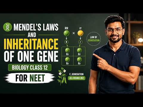 Mendel's Laws and Inheritance of One Gene | Biology Class 12 (NEET)