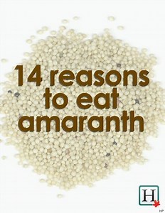 Amaranth grain - Alchetron, The Free Social Encyclopedia
