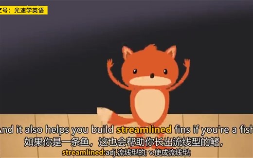 【TED-Ed科普】对称的科学_中英双语字幕动画