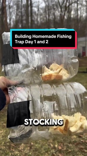 Day 1 and Day 2 Of Making Homemade Fish Traps For Pond 🤯 S/O to (cwg.outdoors/IG) #fishingtrap #creek #fishingtok #fishtank