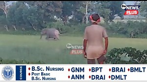 4.2K views · 21 reactions | কলিয়াবৰত অন কেমেৰা এখন যুঁজ! এটা বন্যহস্তী vs এদল মানুহ। আৰু অৱশেষত.. #Da_News_Plus #kaliabar | DA News Plus | Facebook