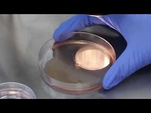 Oocytes retrieval procedure using VITROMED products