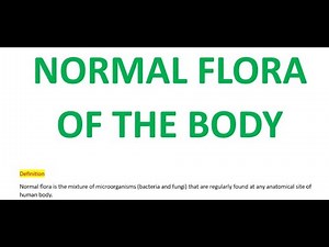 normal flora of human body in microbiology | normal flora of the body |normal flora the human body