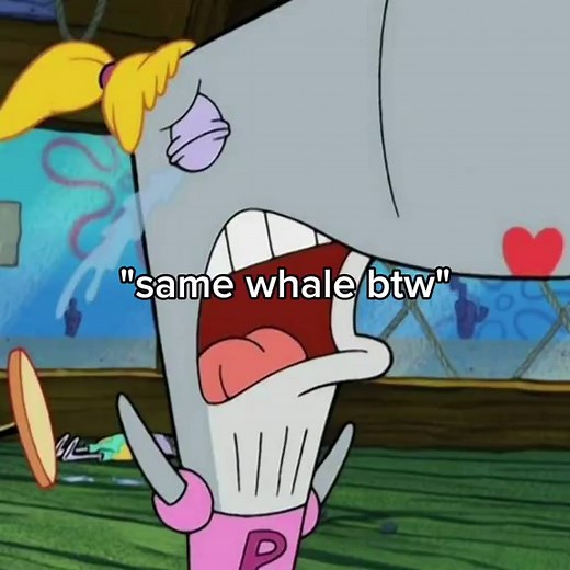 SpongeBob SquarePants: Pearl the Whale Moments