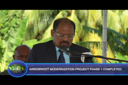 5K views · 24 reactions | Arrowroot Farmers in SVG are being encouraged to position themselves for when the modern Arrowroot Factory at Orange Hill becomes fully operational which is in about a year’s time. Phase one of the project is completed and was commemorated with a ceremony onsite on Wednesday. | SVG TV | Facebook