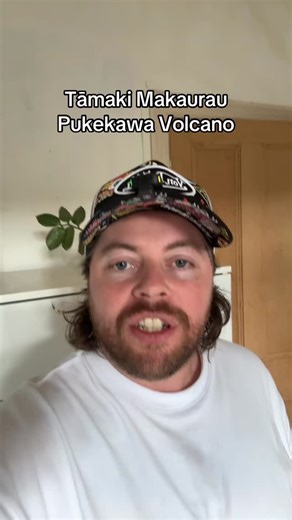 Did you know Auckland domain is a dormant volcano #history #information #education #reels #auckland #fyp | Will Hamm