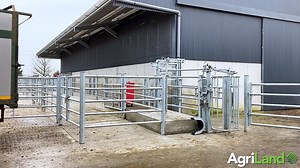 Residing just outside Clonmore in Co. Tipperary is beef farmer John Maher, who has recently built a new loose shed and first-class handling facility. 🎥 To learn more about the building ➡️ https://bit.ly/3c6LIbU | Agriland.ie