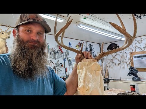 Mounting Danielle's Deer Head! Taxidermy & Talking Outdoors! God's Country Hunting & Fishing is live