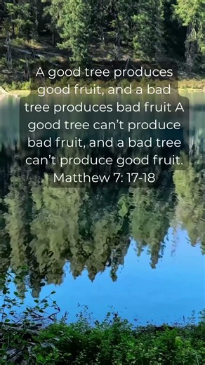 Bible verse of the day
