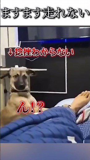 [I can't run more and more.]Try not to laugh funny videos dubbing episode21 #shorts