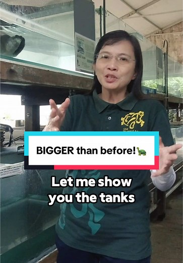 Building Bigger Tanks for Our Turtles' New Home