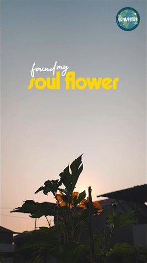 I found my soul flower in my mother’s backyard…🌻 #shorts #sunflower #soulflower #selflove #travel