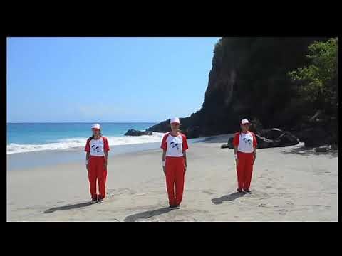 Terbaru!! Senam ria anak indonesia untuk sd tahun 2018 (senam sehat)