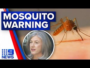 Warning issued over mosquito explosion carrying number of viruses | 9 News Australia