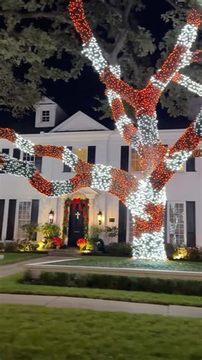 Shabnam Jalili 🏘️ Realtor on Instagram: "Houston neighborhoods understood the assignment 🎄✨ Twinkling lights, cozy streets, and that holiday magic you can only feel driving through the city. This is why I love Houston—every neighborhood tells its own story, especially this time of year. ❤️🏡 #christmas #christmasdecor #christmastree #christmaslights #holiday"
