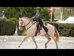 Nicole e Inca - Dressage Test- Working Equitation