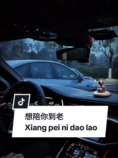 #想陪你到老 Xiang pei ni dao lao ( Aku ingin bersamamu sampai tua nanti ) Awal cerita bukan milikku, tapi di akhir hidupmu... semoga namaku tetap tertulis di sana. Bersamamu, aku ingin menua. Menertawakar waktu, menangisi rindu, tanpa pernah berbalik. Meski aku tak hadir di musim semi pertamamu, biarkan aku menemanimu di sisa usiamu. Aku hanya ingin jadi orang yang menemanimu sampai tua, di setiap pagi dan senja. #2011music #CapCut #love #中文歌