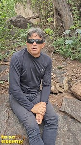 1M views · 34K reactions | Respondendo Charlatão! #curiosidades #animais #serpente #cobra #cascavel #mitos #viral | Aventuras do Rei das Serpentes | Facebook