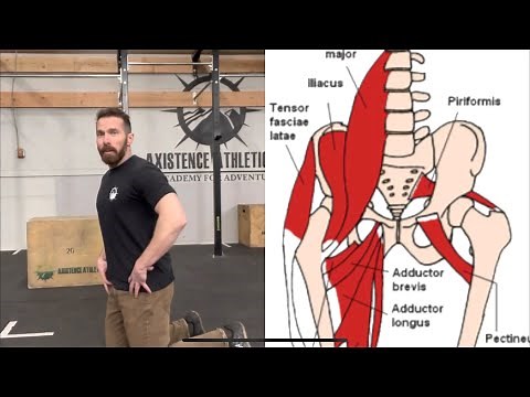 L-Sit Progressions (knees over toes guy method)