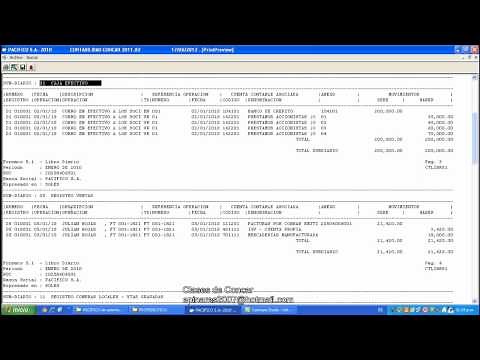CONCAR - REPORTE DEL LIBRO DIARIO