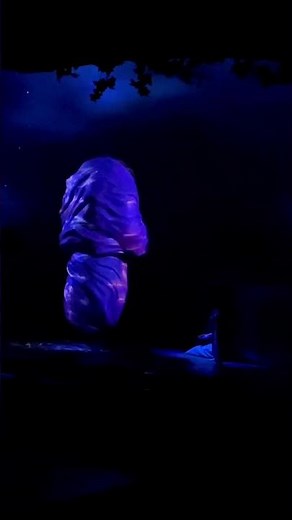 Tokyo Disneyland Beast Transformation! #tokyodisney