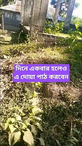 দিনে একবার হলেও এ দোয়া পাঠ করবেন #shortsvideo #islamicshortvideo