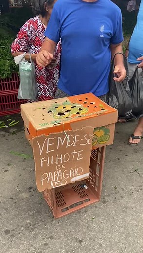 Coisas que só acontecem em Duque de Caxias! #duquedecaxias #duquedecaxiasrj #riodejaneiro #feiraderua #feiralivre #comedia #papagaio #vendedor