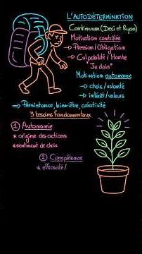 What is Self-Determination Theory (SDT)? #psychology
