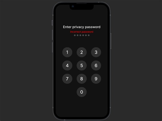 Incorrect Password Animation
