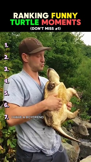Ranking The Funniest Turtle Moments Ever 🐢😂 (Wait For #1!)