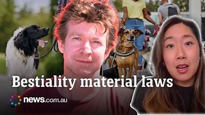 Calls to implement national bestiality material laws