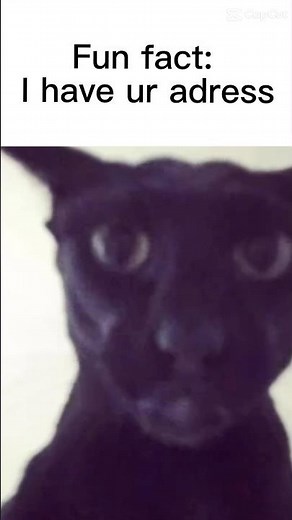 Larry is Coming - Guess Who? #yt #memes #larry #fypシ #shorts #funny