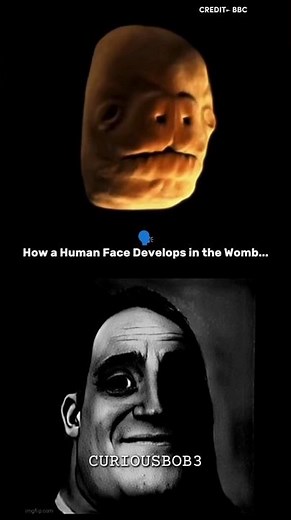 Face Formation Timelapse #shorts #science #physics #timelapse