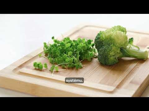 Sulforafan - extrakt z klíčkov brokolice