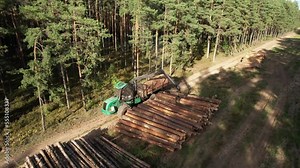 Crane forwarder machine during clearing of forested land. Wheeled harvester transports raw timber from felling site out. Harvesters, Forest Logging machines. Forestry forwarder on deforestation.