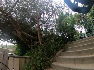 Yesterday a bunch of friends did an urban adventure ride in Los Angeles, 'Sley L.A.' I had a spectacular dismount trying to climb some staircase, almost on top I started to fall over backwards, I managed to grab the railing with one hand, while the other held on to the bike. Too bad nobody else filmed a different angle. | Hans Rey