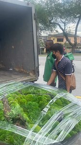 Smart Garden on Reels