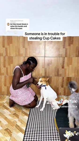 Funny Cupcake Theft Punishment Reaction