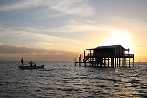 Pasco County Stilt Houses